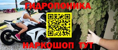 тгк Обь