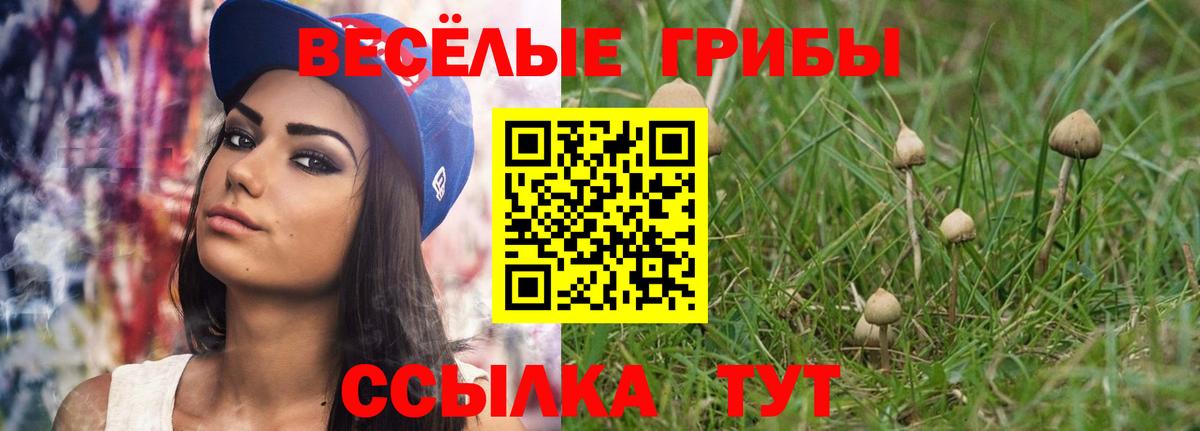 Галлюциногенные грибы мухоморы Сосновый Бор